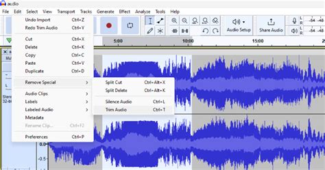 Audacity How to Cut Audio: A Symphony of Digital Scissors and Sonic Dreams