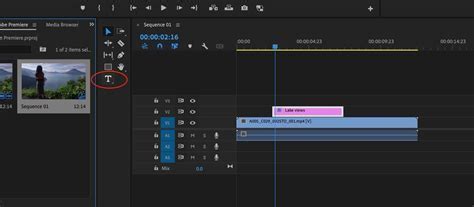 How to Render Clips in Premiere Pro: A Journey Through the Digital Canvas