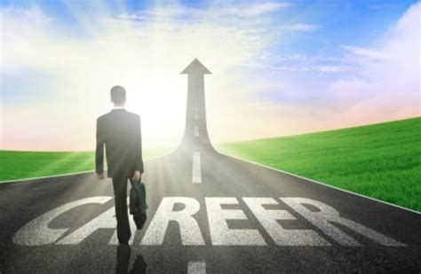 Optimizing Your Career: A Practical Guide for Pakistani Professionals – Navigating the Labyrinth of Success in a Changing World