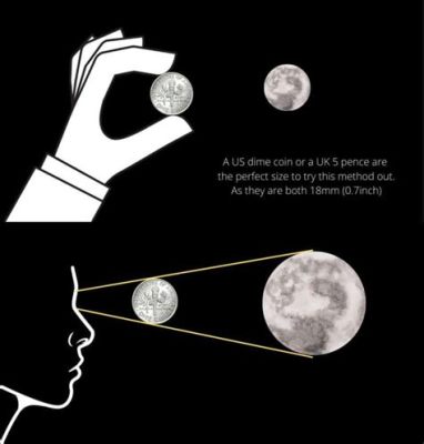 What Degree Do You Need to Be an Art Director? And Why Does the Moon Sometimes Look Like a Brushstroke?